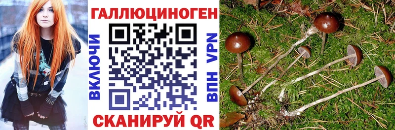 darknet как зайти  Северобайкальск  Псилоцибиновые грибы Magic Shrooms  kraken маркетплейс 